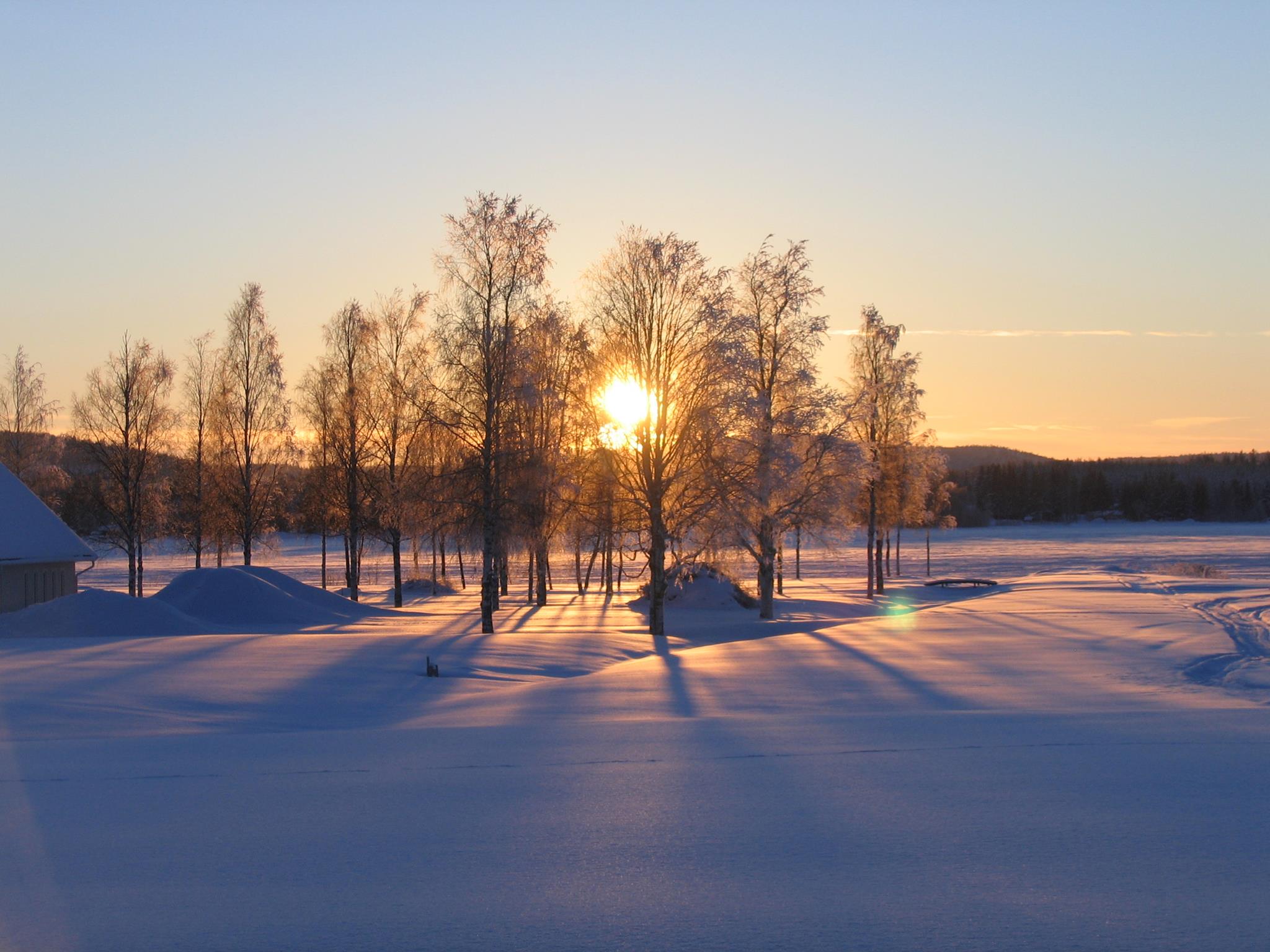 vinter